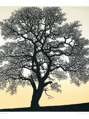 Heart Oak, Richard Shimmel, linocut print, Dartmoor Tree