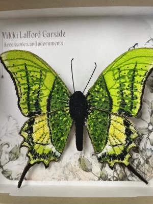 14220 Vikki Lafford Garside Green Kaiser Butterfly brooch.webp