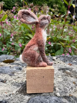 13985 jema skinner needle felt hare 3.webp