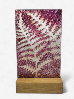 image 36.png